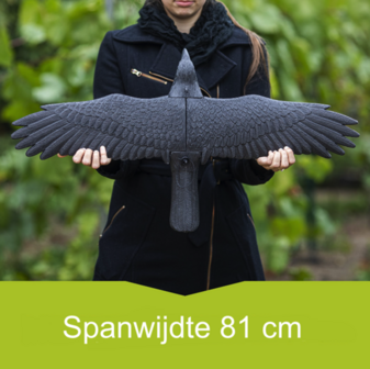 Kunststof Raaf met uitgestrekte vleugels