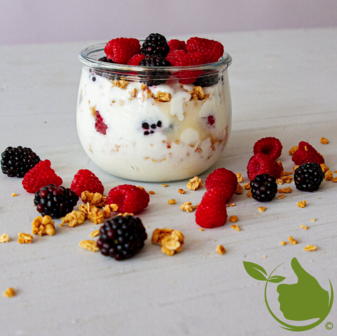 Bacteriecultuur voor yoghurt