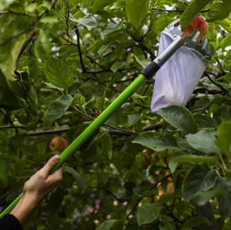 Fruitplukker / appelplukker met stevige uitschuifbare steel tot 2.40 meter