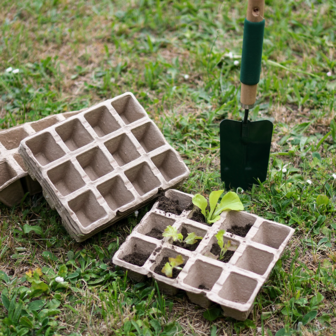 Papieren potjes 12 per tray  4.5x5x4.5cm 30 stuks