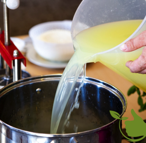 Bacteriecultuur voor kwark