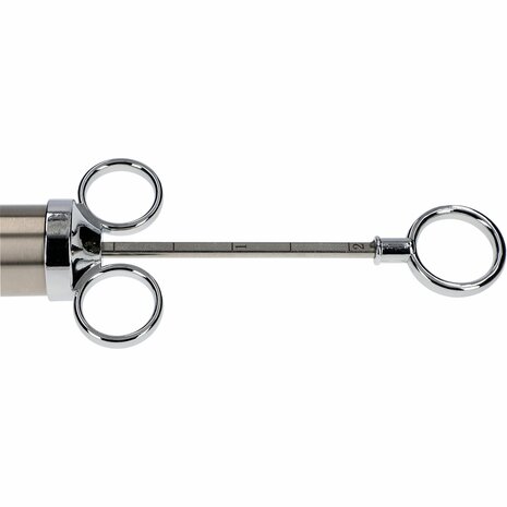 Roestvrijstalen vlees injector van 60 ml + 2 naalden