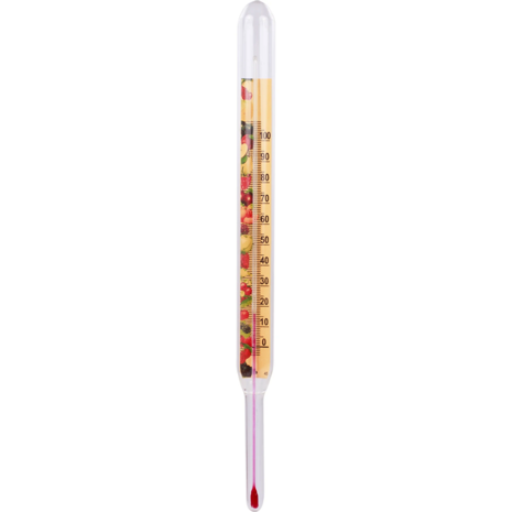 Vloeistof thermometer 23 cm